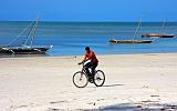 TANZANIA - Pemba Island - Vumawimbi Beach - 02